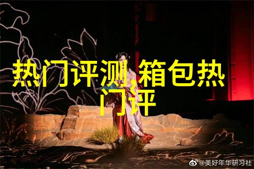 香奈儿包包CFmini黑色荔枝牛皮A69900在上海价格是